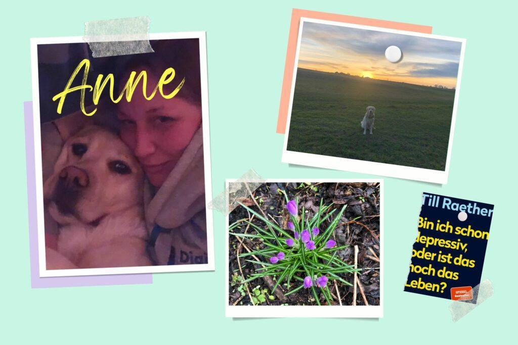 Das Bild zeigt eine Collage von Fotos aus den True Good Things Highlights im März 2023 von Anne.