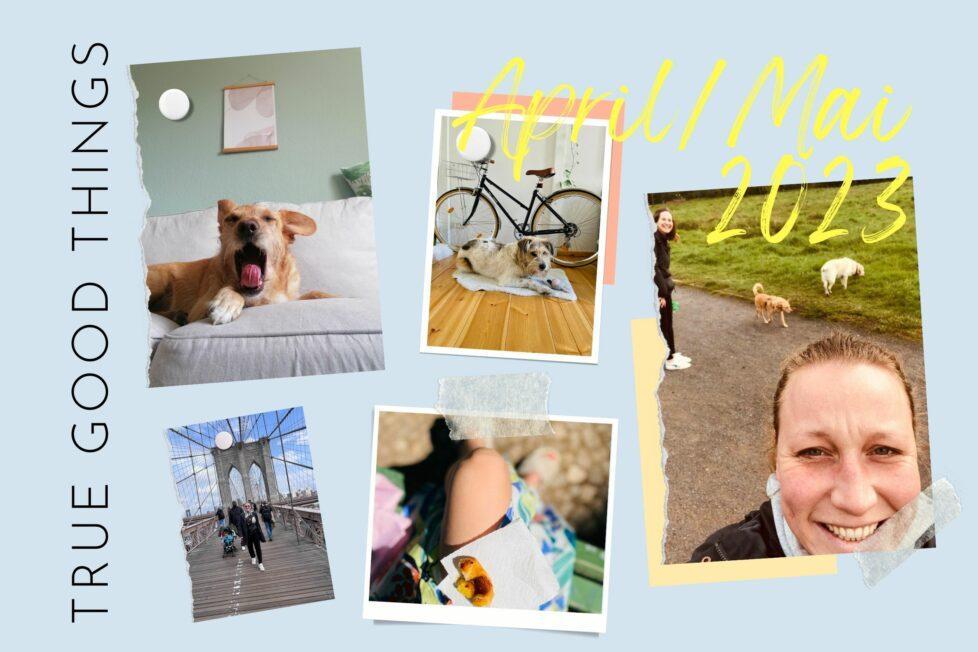 Das Bild zeigt eine Collage von Fotos aus den True Good Things Highlights im April Mai 2023 von Fine, Anya und Anne.